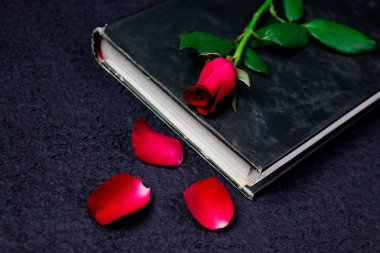 Kağıt arkaplan üzerine kırmızı güller, sevgililer günü geçmişi..