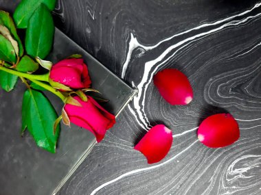 Kağıt arkaplan üzerine kırmızı güller, sevgililer günü geçmişi..