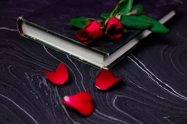 Rosas Frescas Florecientes Rojas Sobre Libro Sobre Fondo Papel Fondo — Foto de Stock