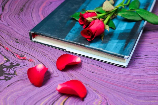 Rosas Frescas Florecientes Rojas Sobre Libro Sobre Fondo Papel Fondo — Foto de Stock