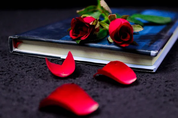 Red blooming fresh roses over a book on paper background, Valentine\'s day background.
