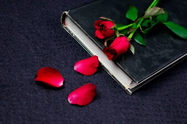 Rosas Frescas Florecientes Rojas Sobre Libro Sobre Fondo Papel Fondo — Foto de Stock