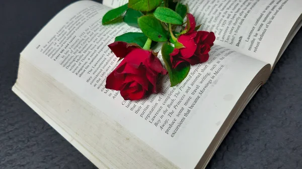 Rosas Frescas Florecientes Rojas Sobre Libro Sobre Fondo Papel Fondo — Foto de Stock