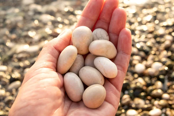 round sea pebbles in a female hand