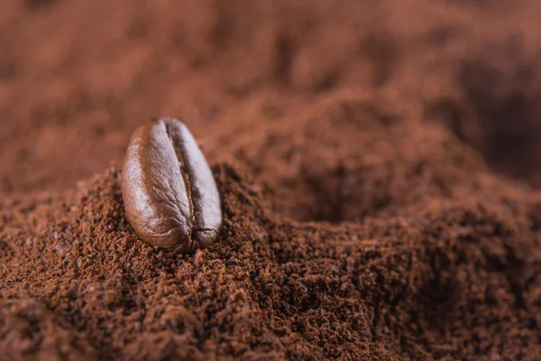 A pile of ground coffee, and at the top lies one whole coffee be