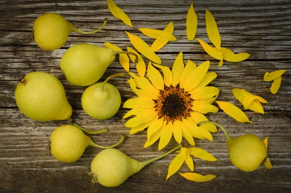 Autumn Background Sunflower Pears Harvest Holidey Concept — Stock Photo, Image
