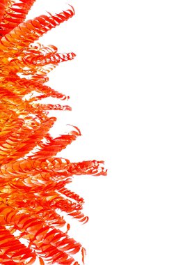 Beyaz arka planda kırmızı sonbahar yaprakları. Boşluğu kopyala