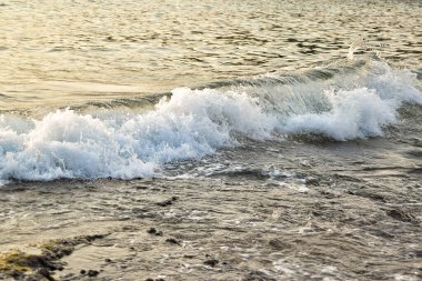 Kayalık bir kıyıda büyük bir dalga akıyor.