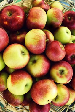 Sepette elmalar, üst manzara, hasat.