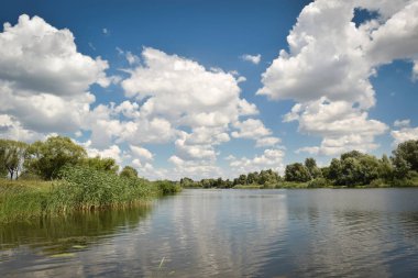 Nehir, yeşil çimen ve ağaçlar, beyaz bulutlu mavi gökyüzü