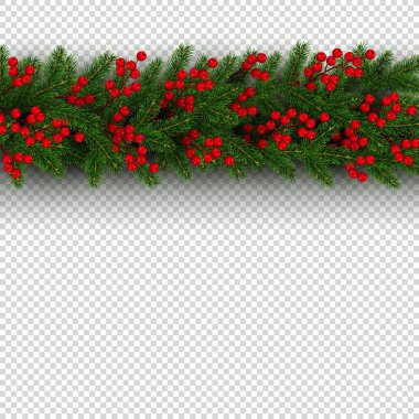 Noel ve yeni yıl sınır gerçekçi şube Noel ağacı ve holly Festival tasarım şeffaf bir arka plan üzerinde vektör illüstrasyon izole için öğe çilek