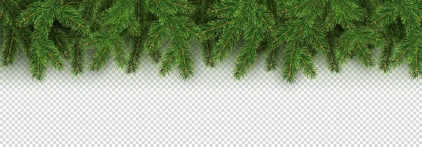 Noel, Yeni Yıl, Kış sınırı. Noel ağacının gerçekçi dalları olan Noel ağacı Xmas elementi. Şeffaf arkaplan vektör ilülasyonunda izole edilmiş.