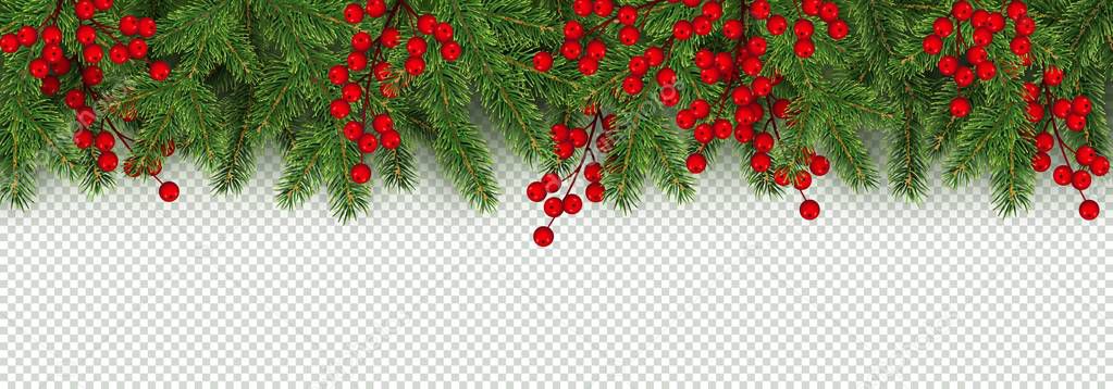 Christmas and New Year border of realistic branches of Christmas tree and holly berries Element for festive design isolated on transparent background Vector illustration