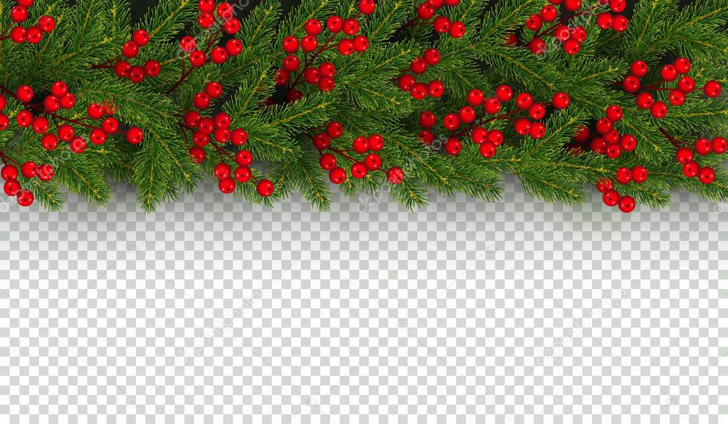 Christmas and New Year border of realistic branches of Christmas tree and holly berries Horizontal element for festive design isolated on transparent background Vector illustration