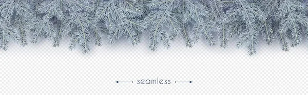 Noel ağacı frost ışık mavi Xmas öğesinde şenlikli tasarım şeffaf bir arka plan üzerinde vektör illüstrasyon izole için gerçekçi dalları ile Noel, yeni yıl, kış sınır