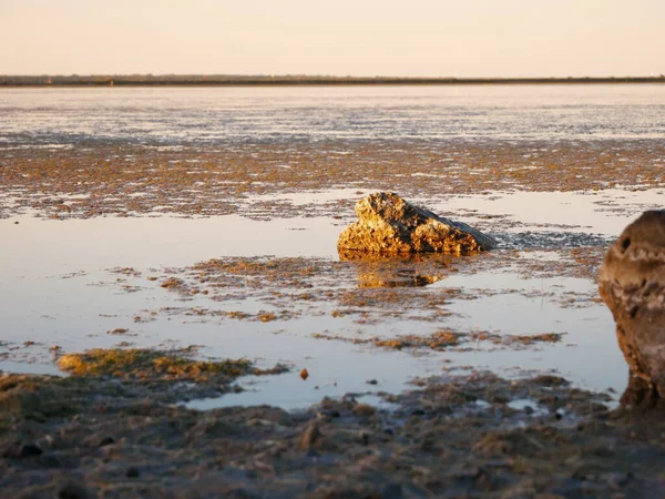 Photo of a dry pond due to summer heat and global warming. Focus on rocks — Stock Photo, Image