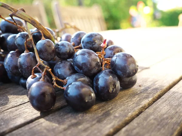 Крупный план винограда на деревянном столе на улице в солнечный день. — стоковое фото