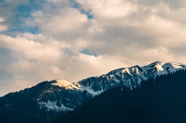Manali, Himachal Pradesh, Hindistan yakınlarındaki Himalaya dağlarının ormanlı ve karlı zirveleri