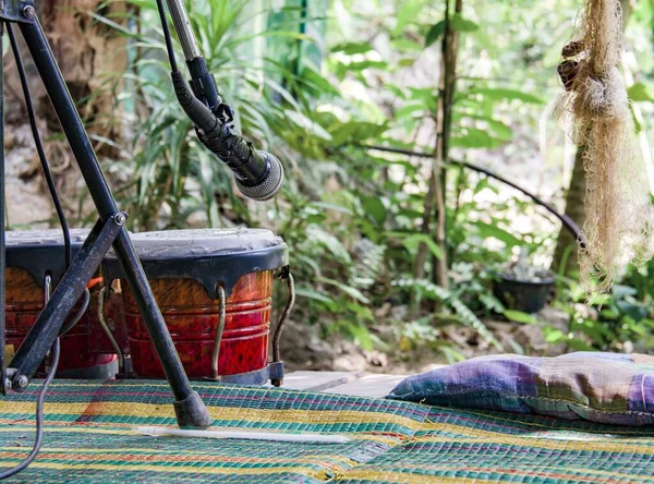 Koh Phangan Adası, Tayland 'ın yeşil ormanında mikrofon ve conga.