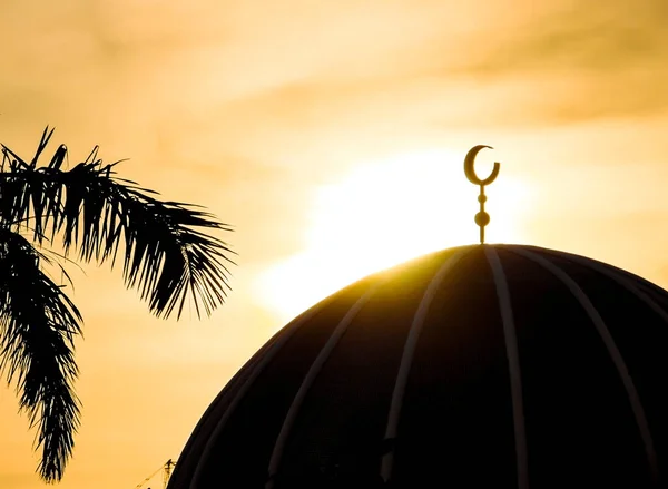 El-Serkal Camii 'nin çatısı ve Kamboçya Phnom Penh' te günbatımı arka planında palmiye yaprağı.