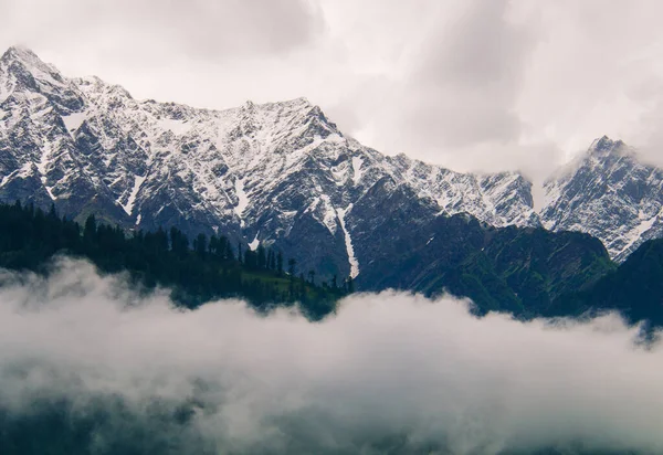 Himalaya dağlarının ormanlı ve karlı zirveleri Manali, Himachal Pradesh, Hindistan yakınlarındaki bulutlarda.