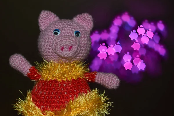 Domuz bulanık rakamlar bokeh arka planda üzerinde önünde duran