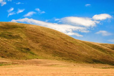 Mavi gökyüzüne karşı sarı bir tepenin kıvrımlı dalgası, Bashkiria, Rusya