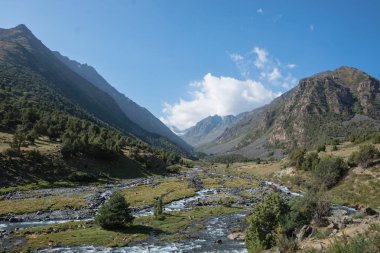 Kırgızistan 'daki dağ manzarası. Dağ vadisi manzaralı yeşil çimenler. Dağ manzarası