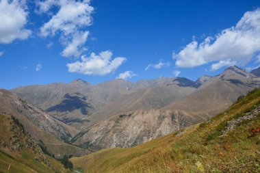 Kırgızistan 'daki dağ manzarası. Dağ vadisi manzaralı yeşil çimenler. Dağ manzarası