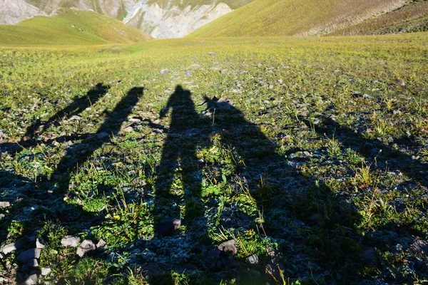 Silhouette Escursionisti Sull Erba Vista Sulle Montagne Ombre Distorte — Foto Stock