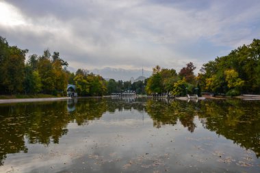 Yeşil pond ve şehir arka plan yansıması