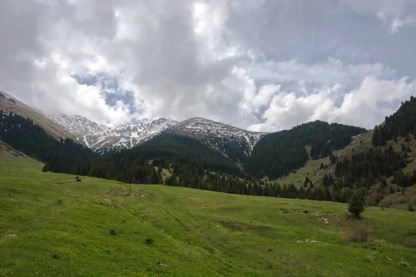 Yeşil Dağ Tepeleri Güzel Manzarasına Kırgızistan Bulutlu Gökyüzü Mavi Doğal — Stok fotoğraf
