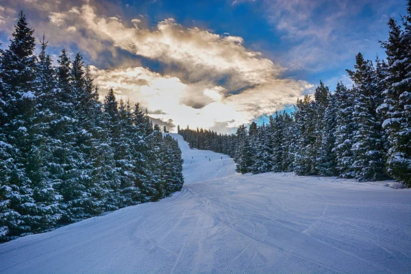 Vackert Vinterlandskap Med Snö Skog Och Moln Karakol — Stockfoto