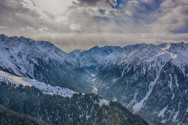 Живописный Альпийский Пейзаж Горными Хребтами Лес Снег — стоковое фото