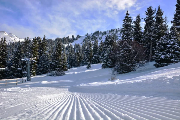 Sonnige Skipiste Und Skilift Waldnähe Karakol Kirgisistan — Stockfoto