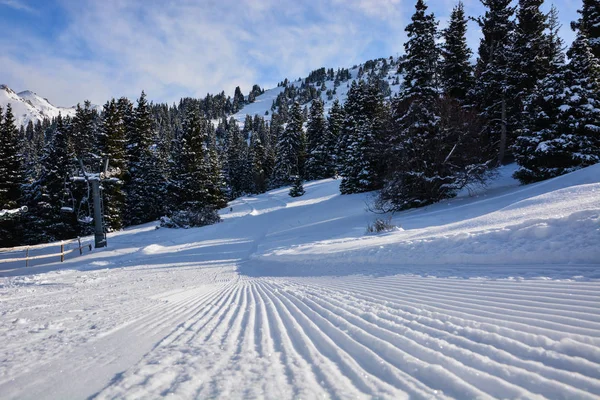 Güneşli kayak pisti ve teleferik forest yakınındaki. Karakol, Kırgızistan.