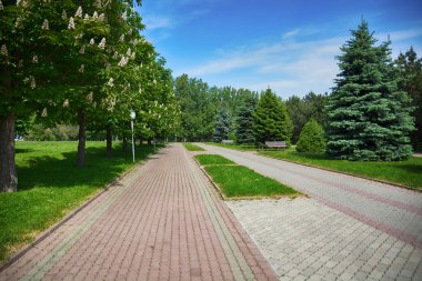 Düz cadde manzarası. Tarafta selvi ile parkta kaldırım.