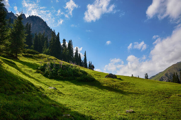 Красивый ландшафтный лес со скалами, еловыми деревьями и голубым небом в горах Кыргызстана. Мирная сцена на открытом воздухе
.