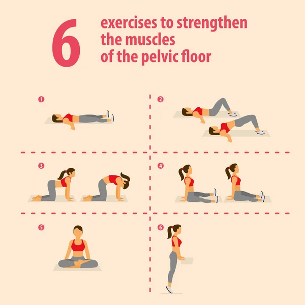 Exercises to strengthen the muscles of the pelvic floor. — Stock Vector