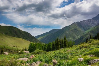Dağlarda yürüyüş parkurları olan sakin bir yaz manzarası. Güzel yeşil dağ çayırları, mavi gökyüzü, nehir ve tugaylar. Kırgız Alatoo Dağları, Tian-Shan, Adygine, Kırgızistan.