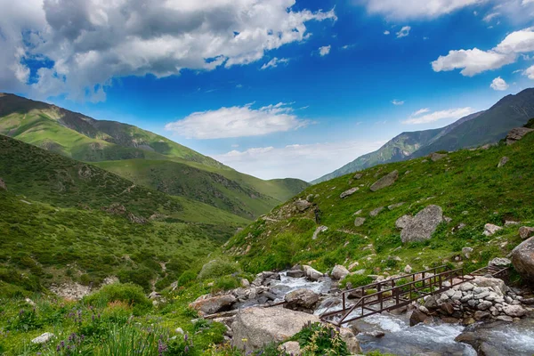 Idylická Letní Krajina Turistickou Stezkou Horách Krásnými Svěžími Zelenými Horskými — Stock fotografie