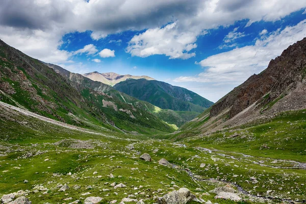 Idylická Letní Krajina Turistickou Stezkou Horách Krásnými Svěžími Zelenými Horskými — Stock fotografie