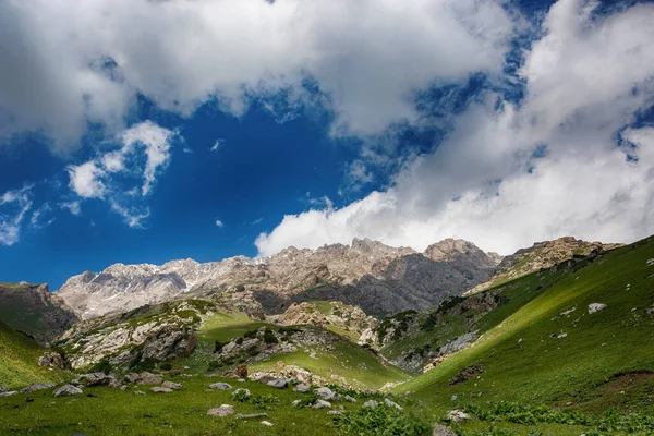 Idylický letní krajina s turistické stezky v horách s krásnými svěží zelené horské pastviny. — Stock fotografie