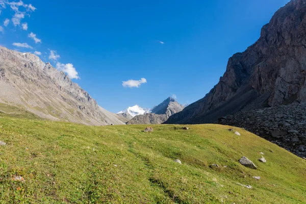 Výhled Horskou Krajinu Kyrgyzstánu Zelená Tráva Horském Údolí Horské Panorama — Stock fotografie