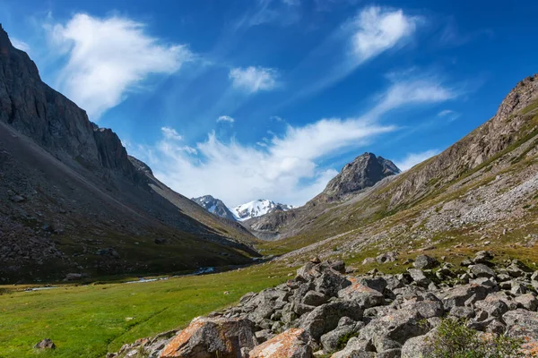Vista Paisagem Montanha Quirguistão Grama Verde Vista Vale Montanha Panorama — Fotografia de Stock