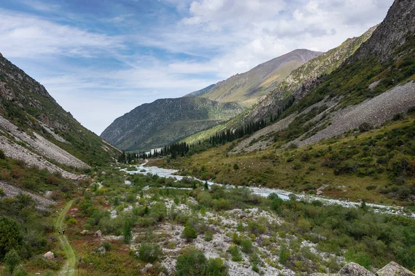 Kırgızistan Daki Dağ Manzarası Dağ Vadisi Manzaralı Yeşil Çimenler Dağ — Stok fotoğraf
