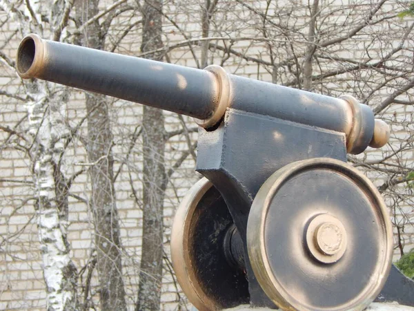 Antique Cannon Installed Park — Stock Photo, Image