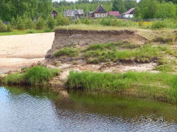 Dik bir kıyıda yuvalar yutar