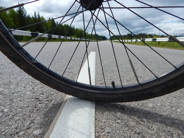 Asfalt yolda bisiklet tekerleği