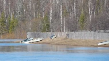 İki ördek nehir suyunda yüzer.